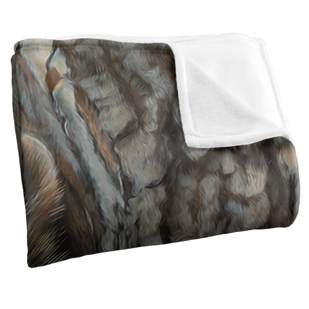 JQ Licensing Silky Raccoon Supersoft Blanket
