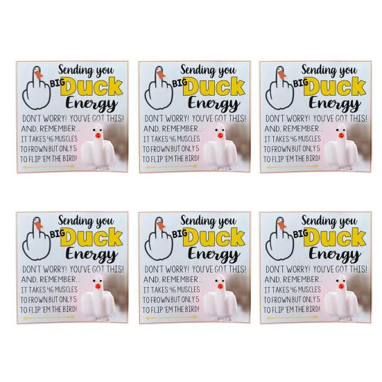 Middle Finger Duck Funny Duck Lucky Charm Gift with Encouraging Card Sending You Big Duck Energy Ornament Inspirational Gift for Friends Family