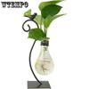 1pc Desktop Glass Planter Hydroponics Vase Planter Bulb Vase with Holder for Home Decoration Modern Creative Bird Plant Terrarium Stand