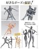 CHALAN Drawing Mannequin, 30-Jointed Articulated Figure with Stand [Recommended by Professional Manga Artists] Full Body Doll, Human Anatomy Model, Ma
