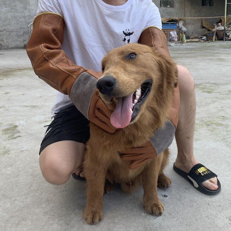 

Thick Cowhide Bite-Proof Gloves for Training Large Dogs, Cats, Birds, Snakes, and Fierce Animals