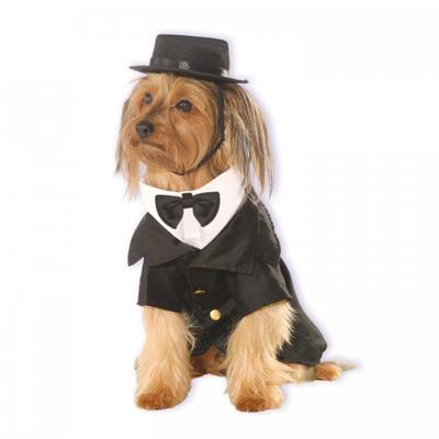 Dapper Dog Costume