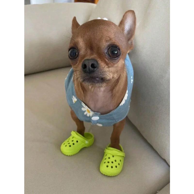 2pcs/1pair Mini Porous Shoes Classic Design Cats And Dogs Pet Photography Accessories Cute And Fun Toys For Small Pets Puppy Shoes Cartoon