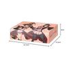 Bushiroad Storage Box Collection V2 Vol.232 Explosions In This Wonderful World! "Megumin & Yunyun