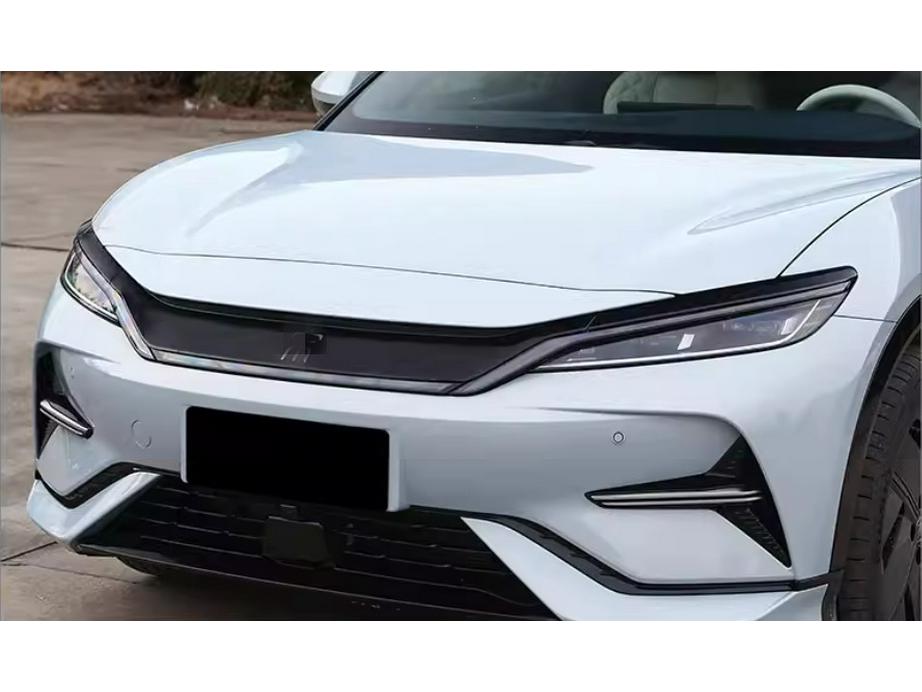 BYD 24 Song L-EV Rivestimento Griglia, Copri Specchietto, Scatola Elettrica, Maniglia Porta, Luci Fendinebbia