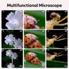 Pink and Purple Microscope Portable Digital Mini Microscope- Your Little Scientist Miniscope - STEM Toy for Age 7 8 9 10 11 12 Years Old Toddlers.
