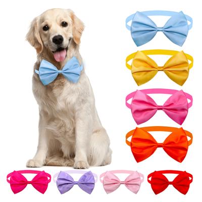 Collare con fiocco per animali domestici regolabile, colore vivido, resistente all'usura, super morbido, adatto alla pelle.