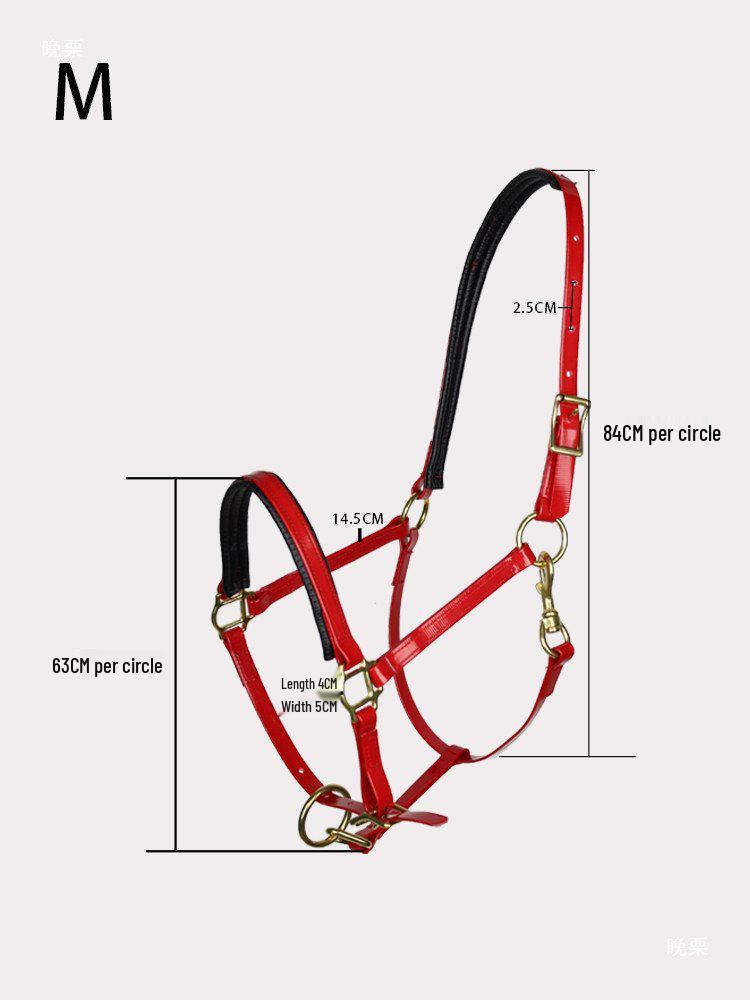 TPU Adjustable Durable Horse Halter and Leading Equipment