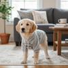 Cozy Letter Print Dog Sleeveless Hoodie Breathable Warm Pet Vest Jacket Soft with Drawstring Pet Jumpsuit Outdoor Activities