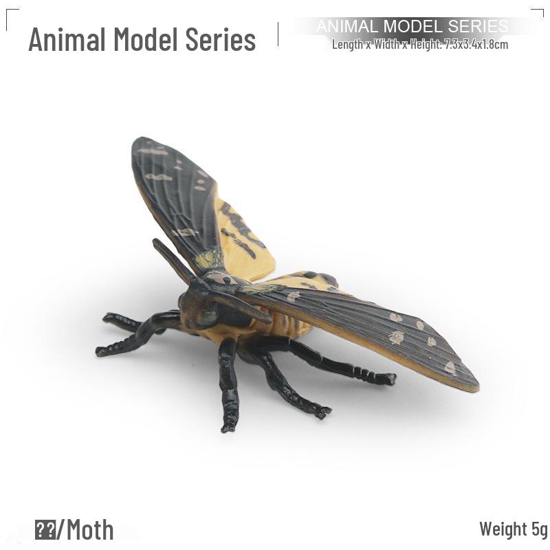 Tropical Rainforest Insect Model Toy Set: Spider, Wasp, Mantis, Grasshopper