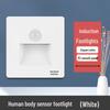 Ruidetai Type 86 Embedded LED Motion Sensor Footlight (2-Pack) CN Plug (adapter Included)