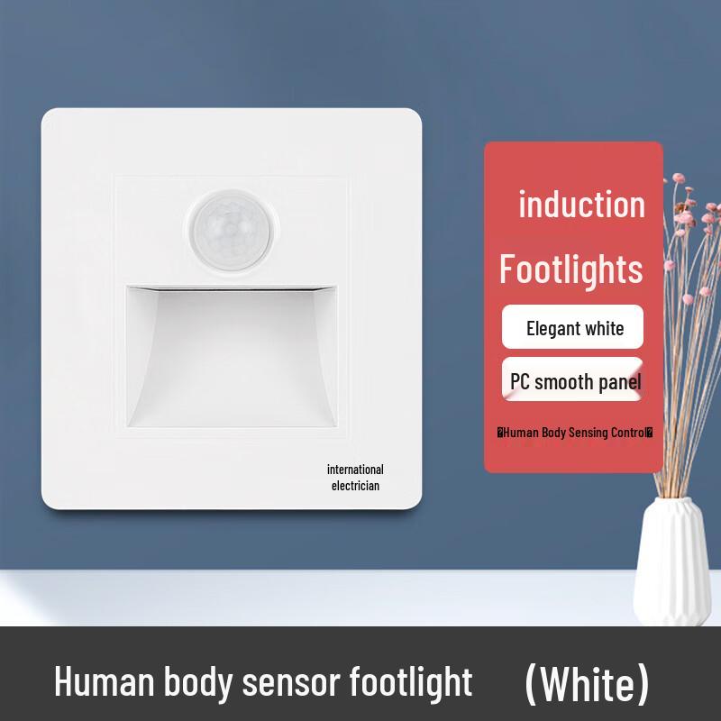 

Ruidetai Type 86 Embedded LED Motion Sensor Footlight (2-Pack) CN plug (adapter included)