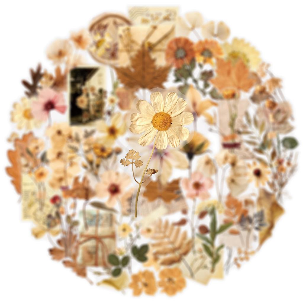 50pcs Transparent PET Flower Stickers Handbooks Tablets Phone Water Cups Decor Stationary Notebook Sticker