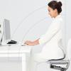 Ergonomic Lumbar Support Seat Cushion