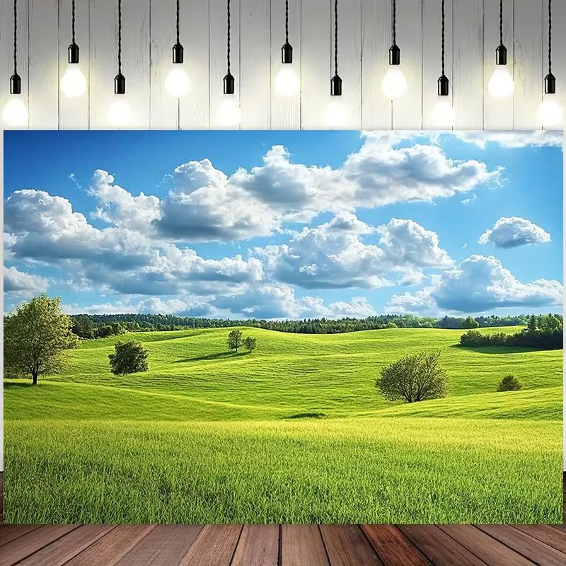 2D Summer Meadow & Countryside Photography Background
