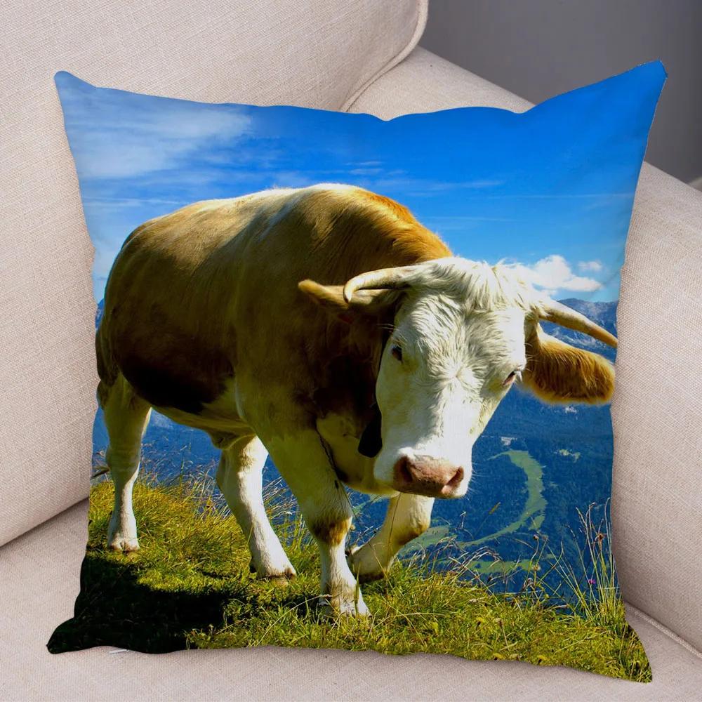 Scotland Kyloe Pillow Case Decor Wild Cow Colorful Animal Print Pillowcase Soft Short Plush Cushion Cover for Home Sofa 45x45cm