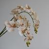 Phalaenopsis Wabi-Sabi Style Artificial Flowers for Home, Wedding, or Hotel Decor