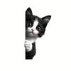 Cute Funny Peeking Cat Waterproof Sticker Self-adhesive Vinyl Decal for Car Window Laptop Skateboard Luggage