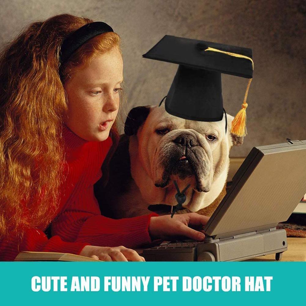 Buy Pet Dog Cap Puppy Dr. Hat Customized Dog Graduation Tassel Cap New