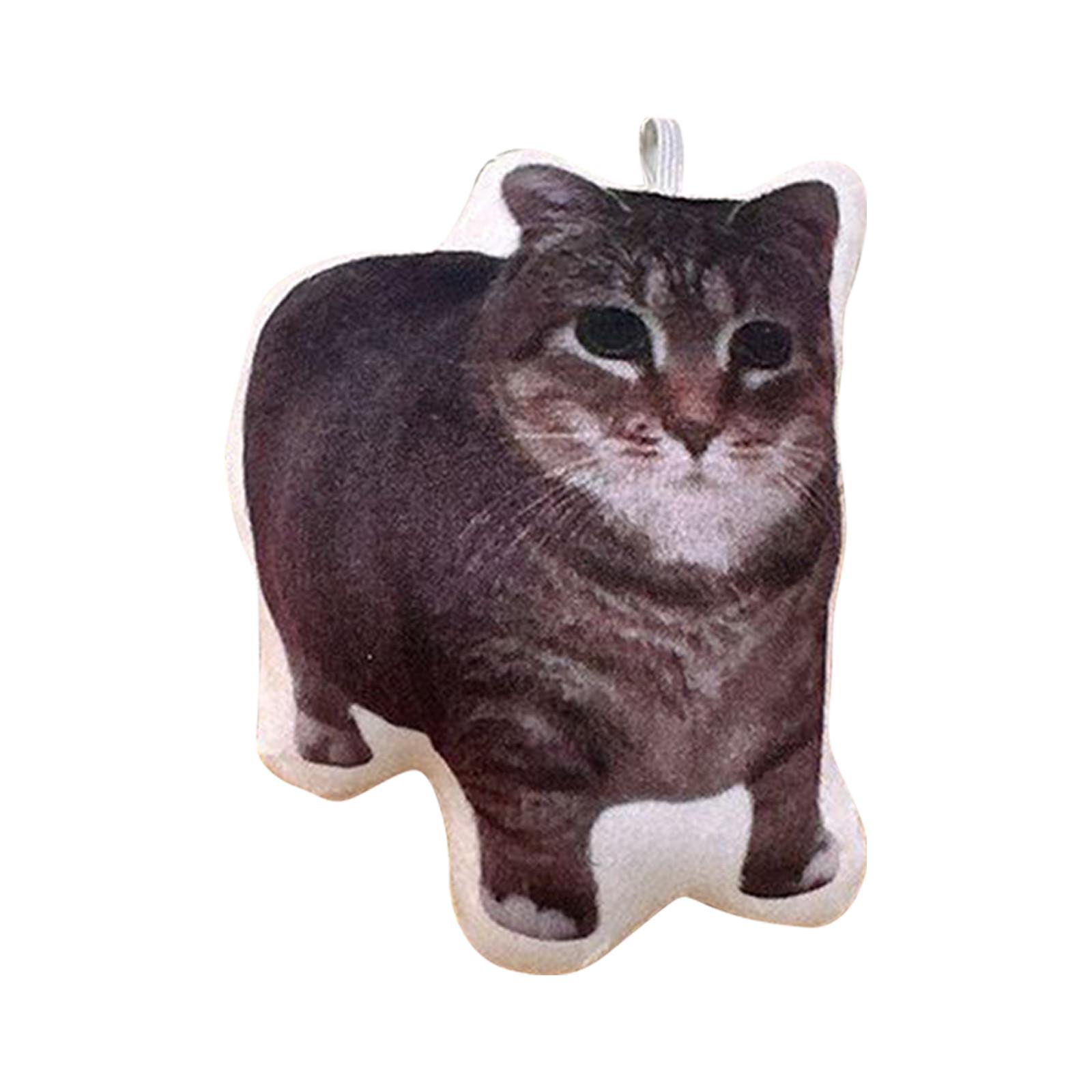 

Брелок для ключей с кошкой, брелок для питомца, брелок с фотографией, памятный подарок питомцу, подарок любителю домашних животных One Size