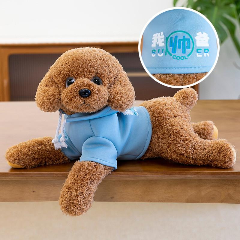 Hoodie Teddy Dog Plush Toy Cute Cartoon Collar Animal Doll Girl Gift Birthday
