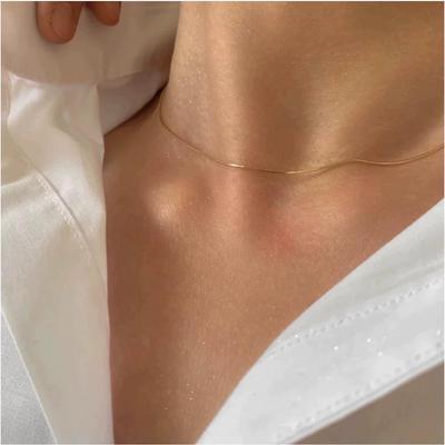 Elegante Catena a Spina di Serpente Minimalista Europea e Americana in Argento Sterling 925 Placcato Oro 18K per Donna – Raffinato Collana per Clavicola Stile Freddo.