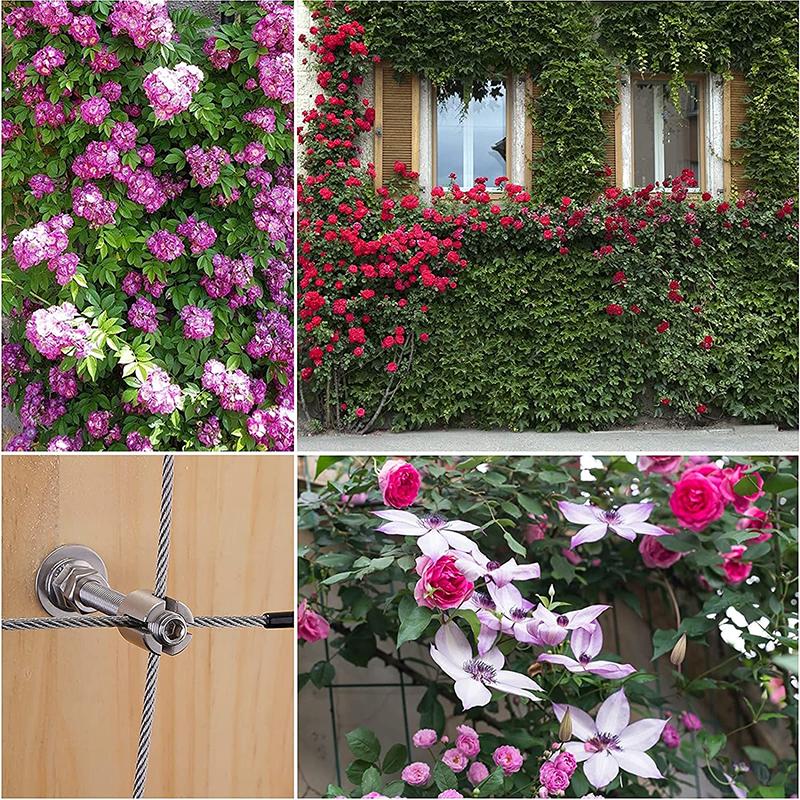 SGYM Stainless Steel Wire Cable Trellis System Kit For Climbing Plants Vines And Green Wall With Wall Brackets 10 Holders