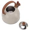 Whistling Kettle 2.5L Capacity Stainless Steel Stovetop Teapot for Water Boiling