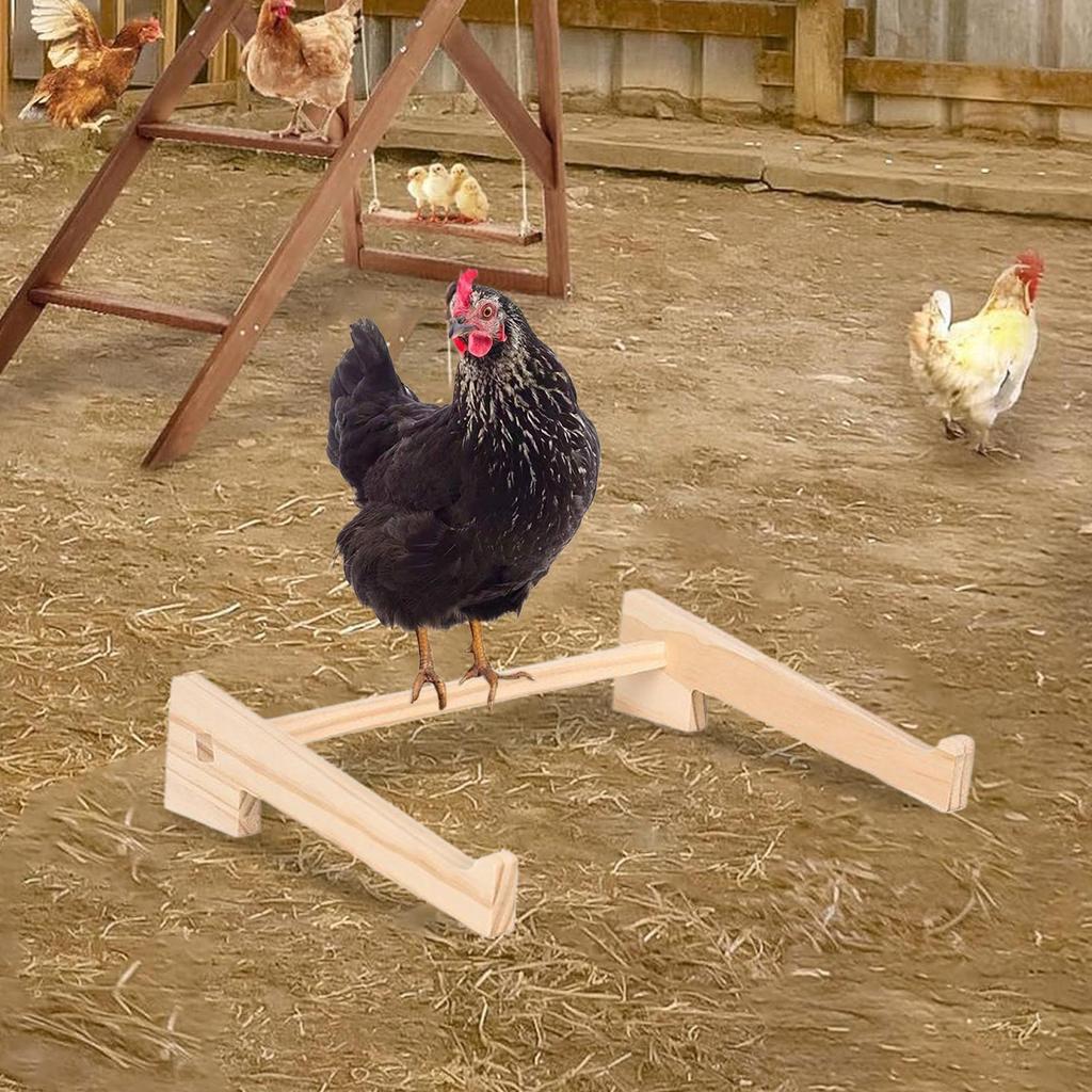 Hühnerstall Stange Geflügel Trainingsstange Holz Sitzstange Für Henne Küken Vögel Papagei Spielen Sitztraining Unterstützung Aufzuchtbox