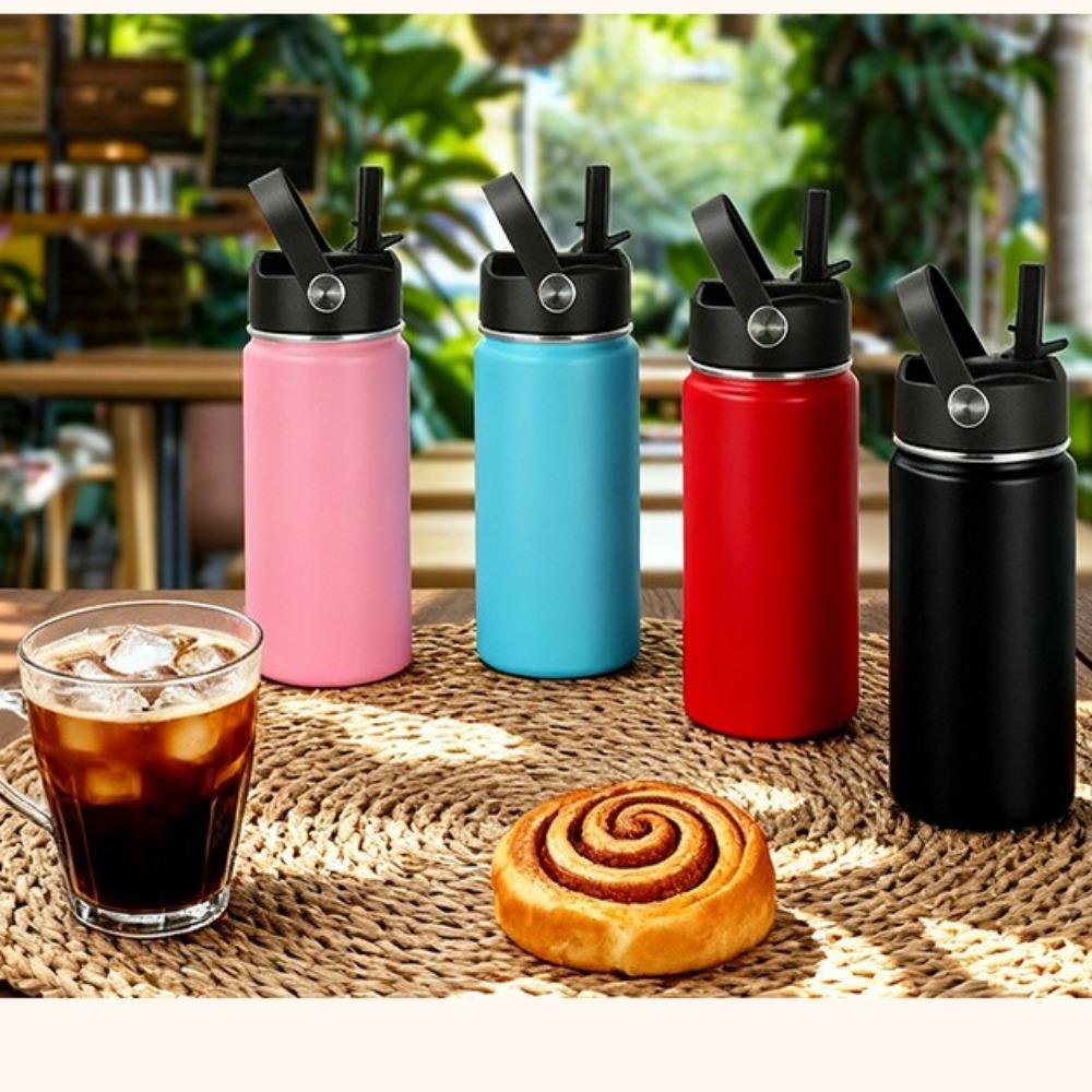 16oz 304 Stainless Steel Water Bottle, Double Wall Vacuum Insulated Sports Flask with Flip Straw Lid & Carry Handle