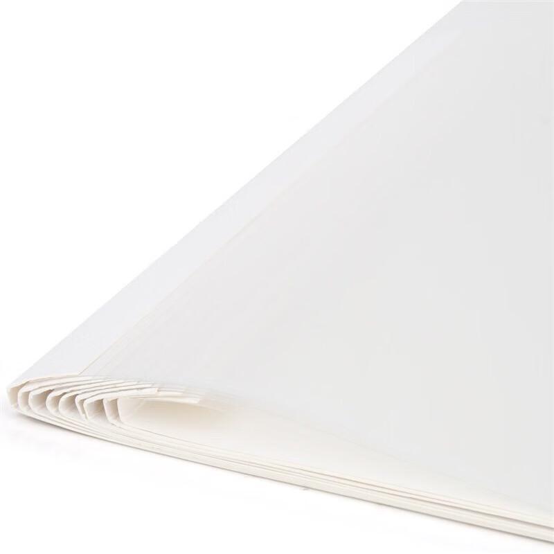 Deli 3866 A4 4mm Hot Melt Binding Covers (10-pack) CN plug (adapter included)