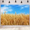 Eén grote, gouden tarweveld landelijke herfstboerderij gerst kunst achtergrond wanddecoratie, geschikt voor de woonkamer.DJH