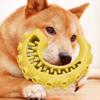 Tpr Haustier Hundespielzeug für kleine mittlere Hunde Bissfestes Hundekauspielzeug Hundezahnreinigung Spielzeug Haustierbedarf