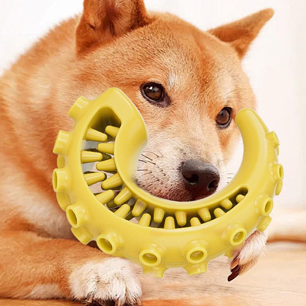 Tpr Haustier Hundespielzeug für kleine mittlere Hunde Bissfestes Hundekauspielzeug Hundezahnreinigung Spielzeug Haustierbedarf
