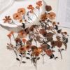 40pcs Vintage Elegant Vintage Floral Sticker Pack  Boost Your DIY Projects, Scrapbooks Journals Easy-to-Apply Retro Bloom Decals