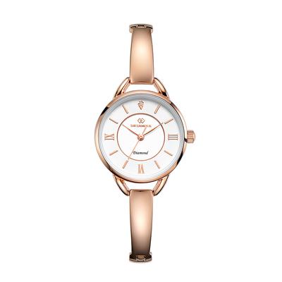Diyuamoleu Women'S Metal Band Watch Daw3502-Rw Diamond Watch