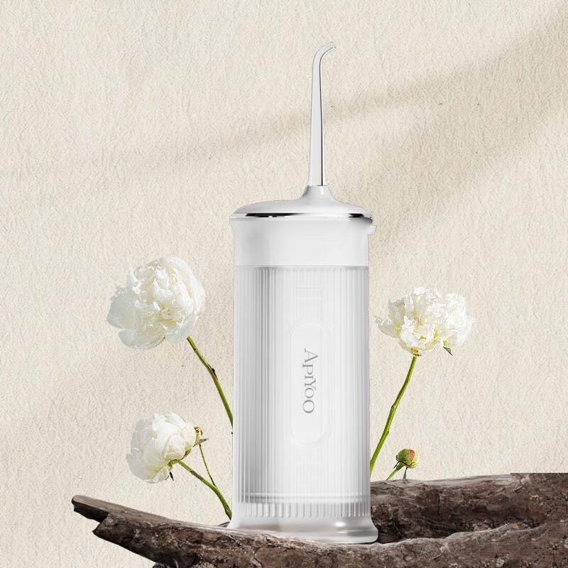 Aiyou Smart Sonic Electric Toothbrush