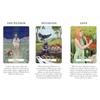 A 78-Card Deck 10.3*6cm The Witches’ Wisdom Tarot