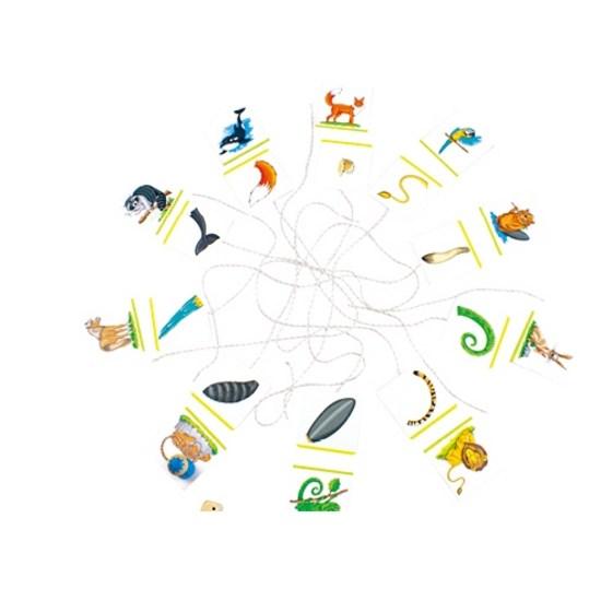 Follow the belladuck matching tail string learning card game, popular Korean game