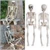 House Decoration Photography Props Bone Model Pumpkin Skull Body Figurine Halloween Human Skeleton