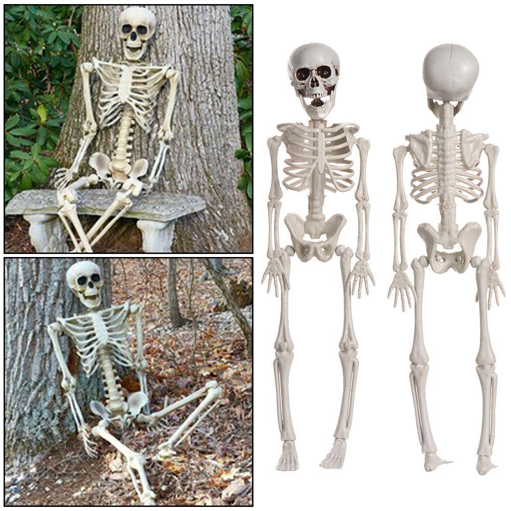 House Decoration Photography Props Bone Model Pumpkin Skull Body Figurine Halloween Human Skeleton