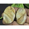 115Cts. 2Pcs Natural Picture Jasper Oval Cabochon Gemstone 25X43-29X45MM A-105