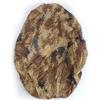 CTDX Camouflage Backpack Rain Cover