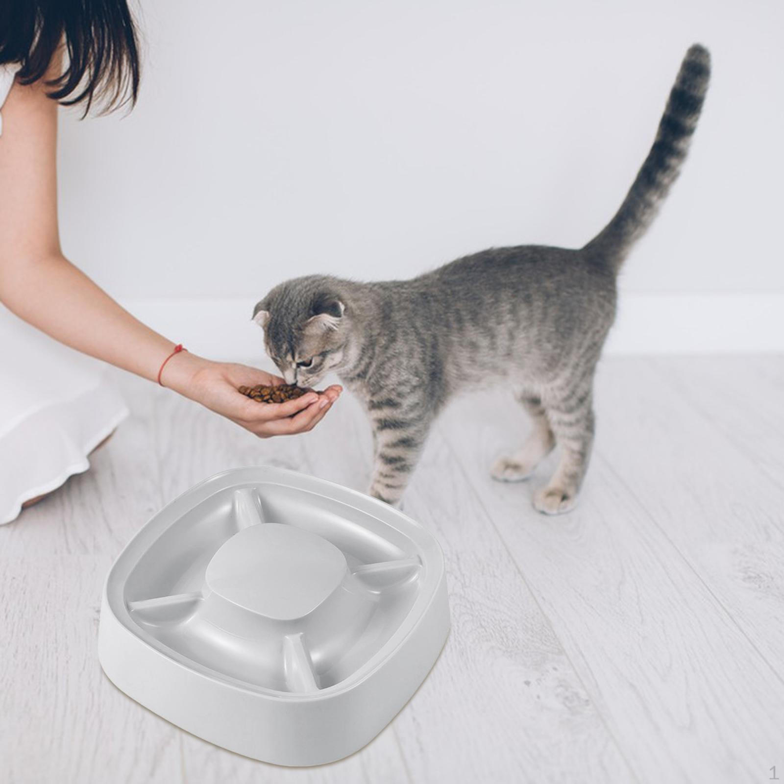 

Feeding Station with Multi-Compartment Design сірий