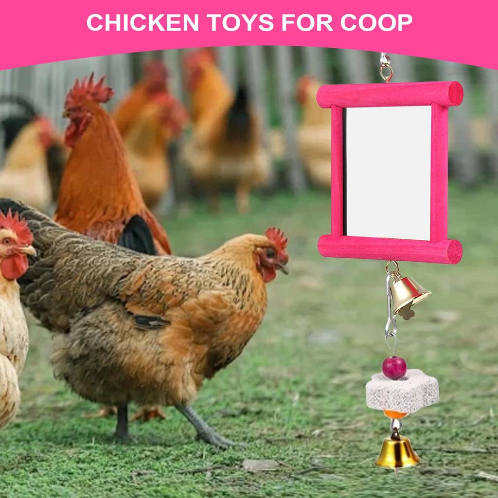 Chicken Swing Mirror Chicken Molar Stone Mirror Enrichment Safe Multi Functional Poultry Boredom Relief Accessories For Outdoor