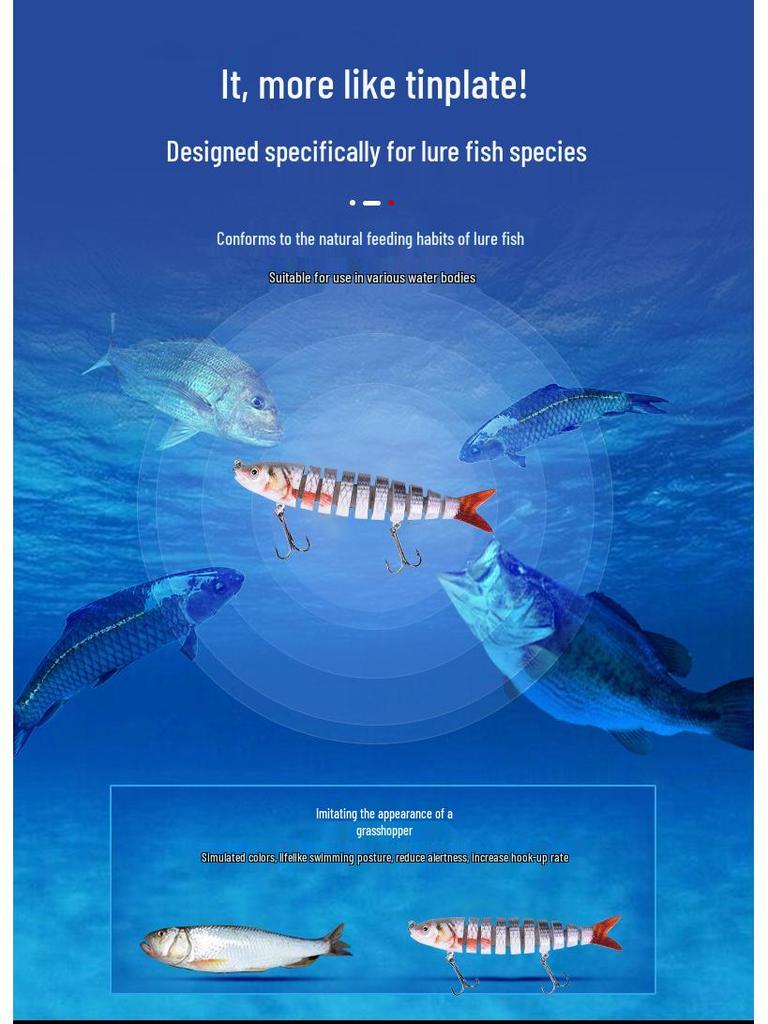 9-Section Bionic Loach Soft Bait Set: Long Cast, Slow Sinking, 10cm/10g, Realistic Fishing Lure