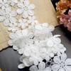2Meters/lot 10CM Wide High Quality Exquisite Lace Cotton Embroidery Ribbon Lace Trim Skirt Sewing Accessories Clothing Decorative Materials