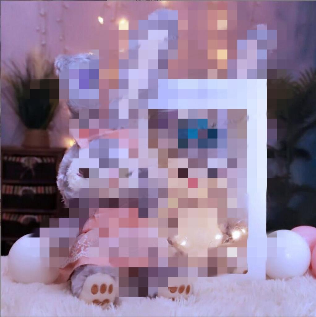 Internet celebrity rabbit plush toy cute doll to give girls birthday gift long-eared rabbit doll children gift