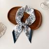 Wind Small Streamer Long Scarf Ribbon Tie Bag Versatile Decorative Headband Printed Scarf with Hand Scarf