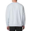Under Armour Logo Pattern Round Neck Pullover Sports Long Sleeve Sweatshirt Unisex sweatshirt Light-Blue 24600305-009